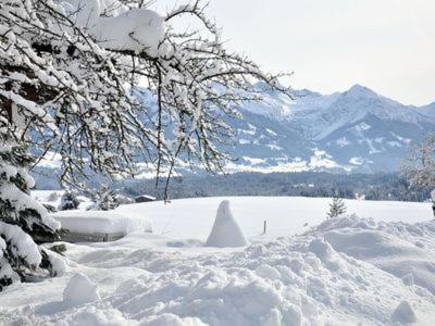 Alphirt Ferienwohnungen Фишен Экстерьер фото